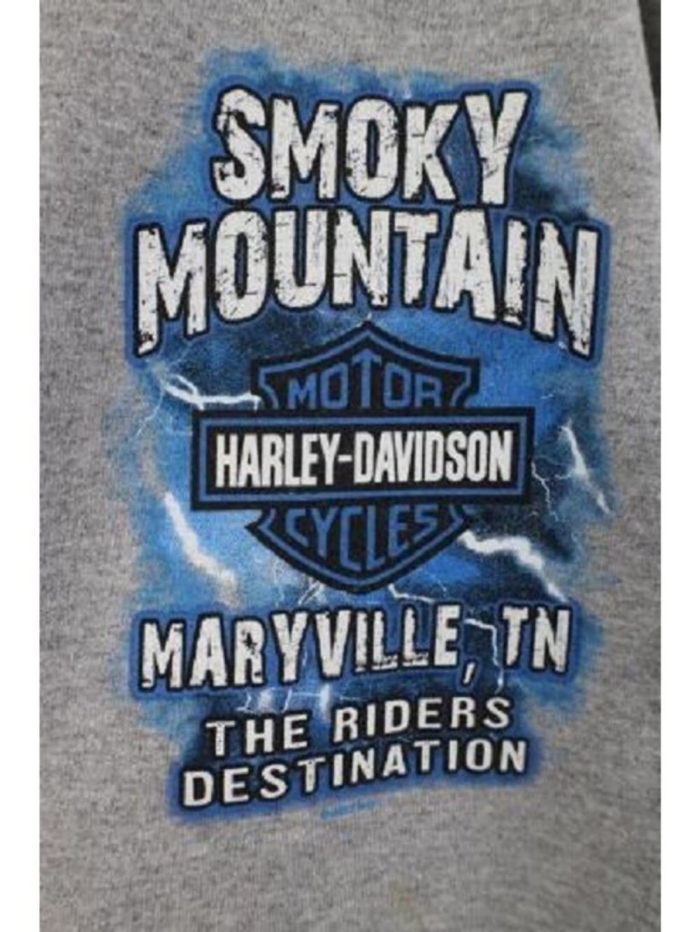 Y2K Harley Davidson Mens XL Spell Out Lightning Drago… - Gem